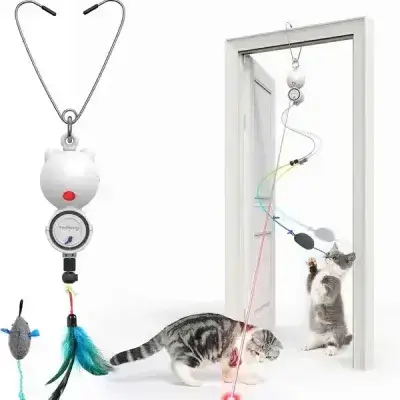 Smart Cat Toy 2 in 1