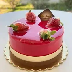 Raspberry Chocolate Cake