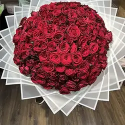 Large Red Rose Bouquet in White Geometric Wrap