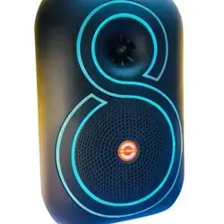 Speaker Big