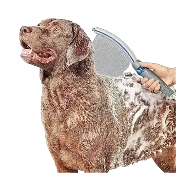 Pet Sprayer