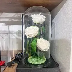 گوڵی فۆڕێڤەر