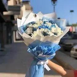Dawoody Flower Boquete