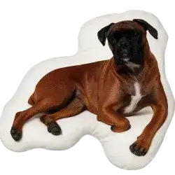 Dog Pillow 29x26 CM