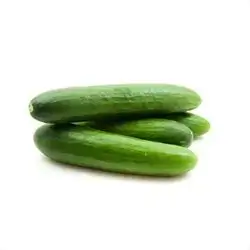 Cucumber
