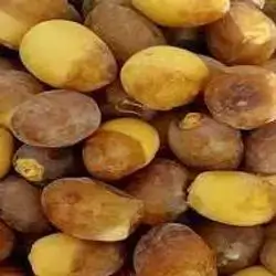 Barhe Dates