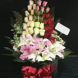 Box Flower-Colors