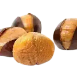 chestnut