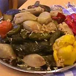 1 Person Meat Dolma