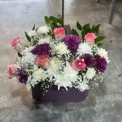 Box flower rose dawde