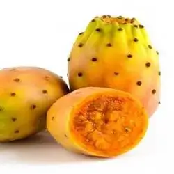 Dragon Fig