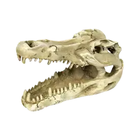 E902 decoration for an aquarium or reptile tank