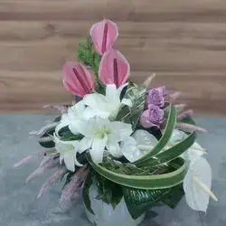 Box Flower's