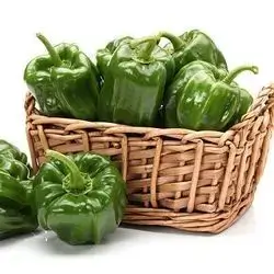 Green pepper