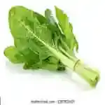 Chard