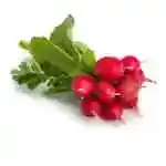 Radish