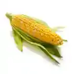 Corn