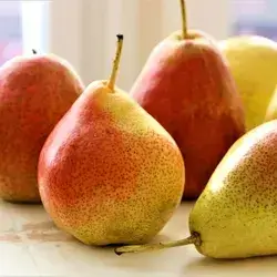 Turkish Pear