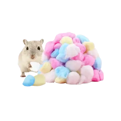 E923 Hamster Cotton Balls