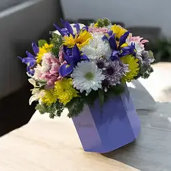 Purple Box