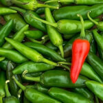 Chili