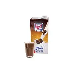 Spoota Cocoa Milk 1L