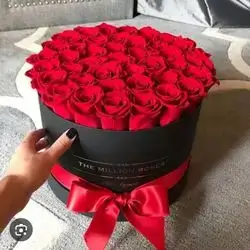 Box Rose