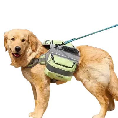 E272 Big Dog bag