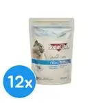 Bonacibo Adult Fish 12x