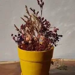 Dried Rose Vase