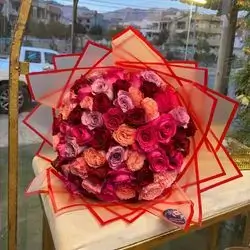 Colorful Rose