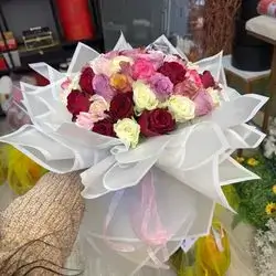 Colorful Rose