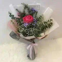 1 Rose & Jbsofeelia & Alikaptos