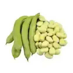 0.5 kg Fava Beans (for Stew)
