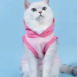 hoodie S