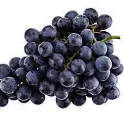Black Grape
