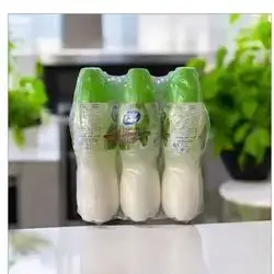 DOOGH DAITY MINT DRINKING YOGHURT 6PCS 1500Mll
