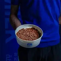 Dunia Koshary Nutella