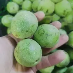 Local Walnut