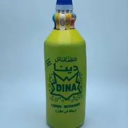 Dina Dishwashing Liquid 1 Liter