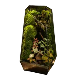 Forest House Terrarium