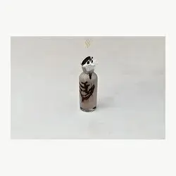 Oreo Frappe