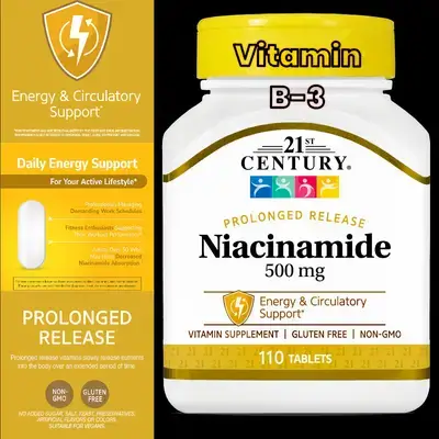 21st Century Niacinamide (vitamin B-3 - Niacin), 500 mg Prolonged Release Tablets, Converts Food to Energy, Circulatory Support, Niacinamide , Vitamin B3, 110 Count b3