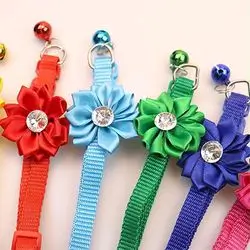 Flower Cat Collars - Assorted Colors