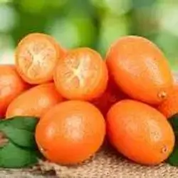 Japanese Orange