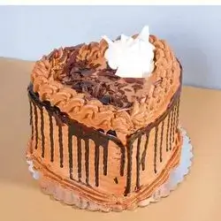 Cacao Cake