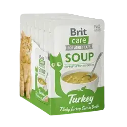 Soup with Turkey 15x