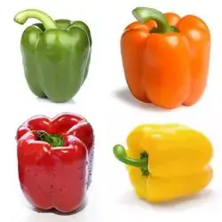 Colored Pepper Dolma
