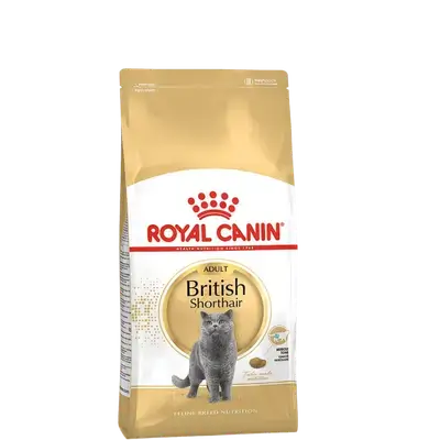 Royal Canin British Shorthair Adult 2kg