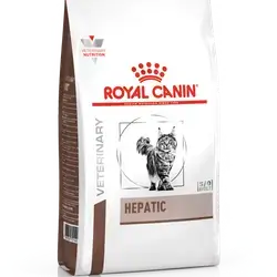 Hepatic